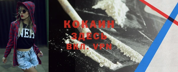 крисы Абаза