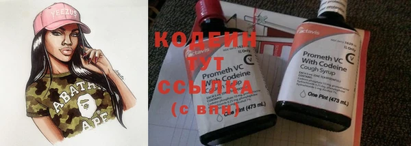 крисы Абаза