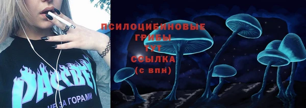 соль ск Абдулино