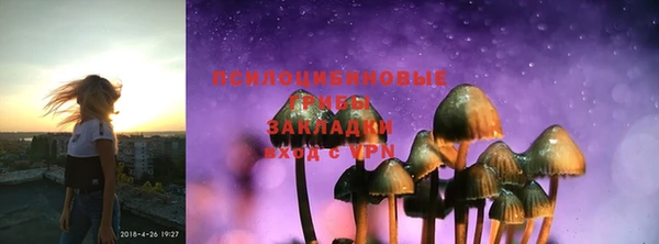 тгк Михайлов