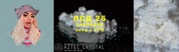 крисы Абаза