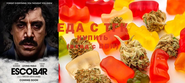 крисы Абаза