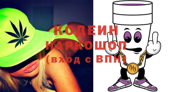 крисы Абаза