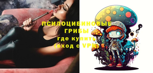 крисы Абаза