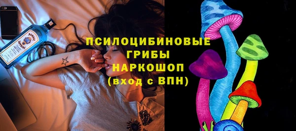 соль ск Абдулино