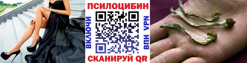 Псилоцибиновые грибы MAGIC MUSHROOMS  Усть-Катав 